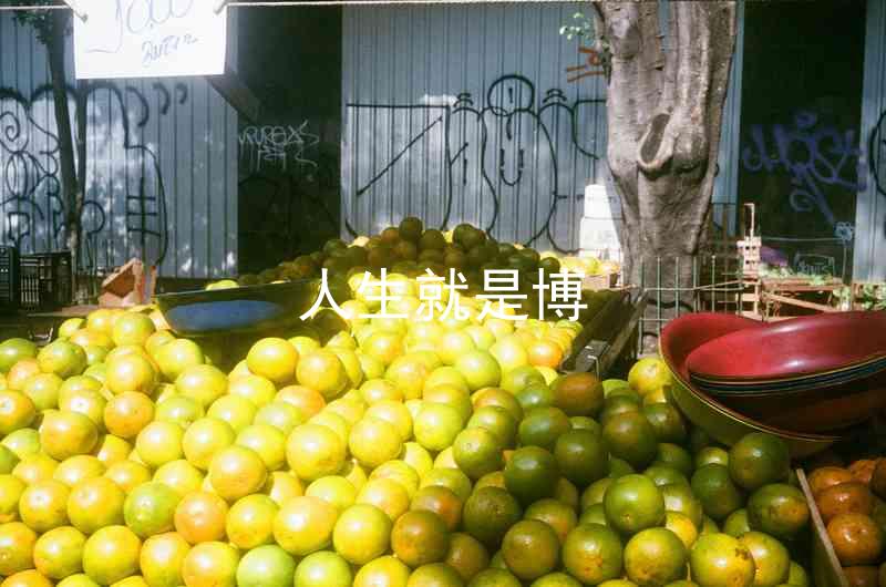 人生就是博