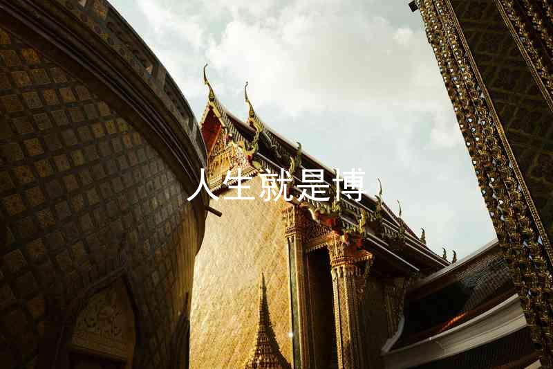 人生就是博