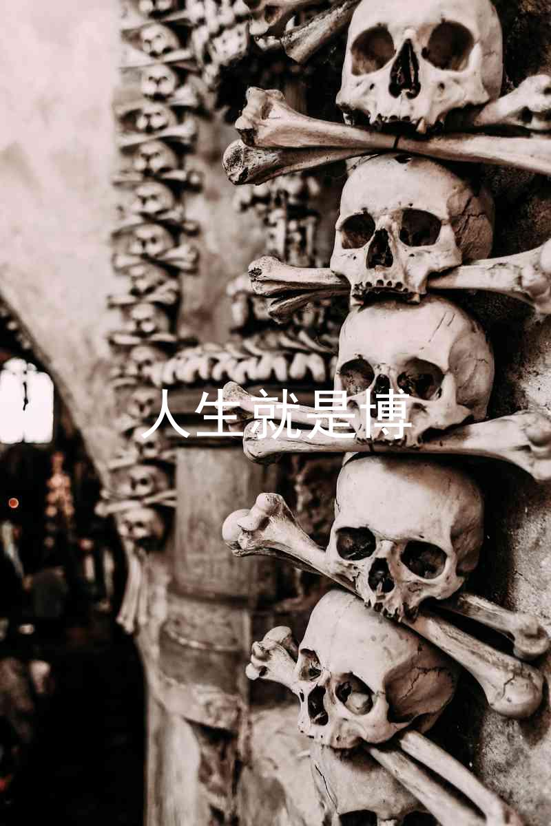 人生就是博