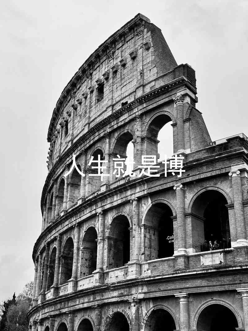 人生就是博